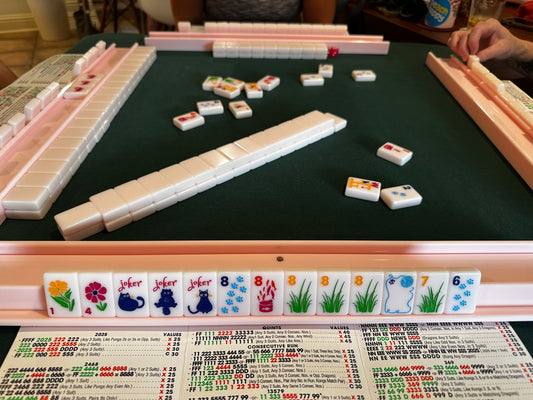 Beginners' Skills -- November 22, 2025