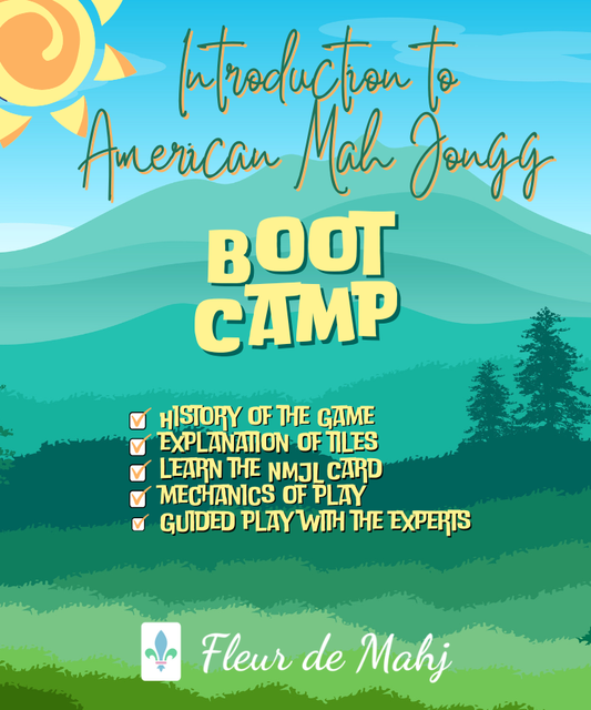 Beginner's One-Day Boot Camp